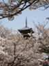 Kyoto