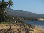 maui beach.gif